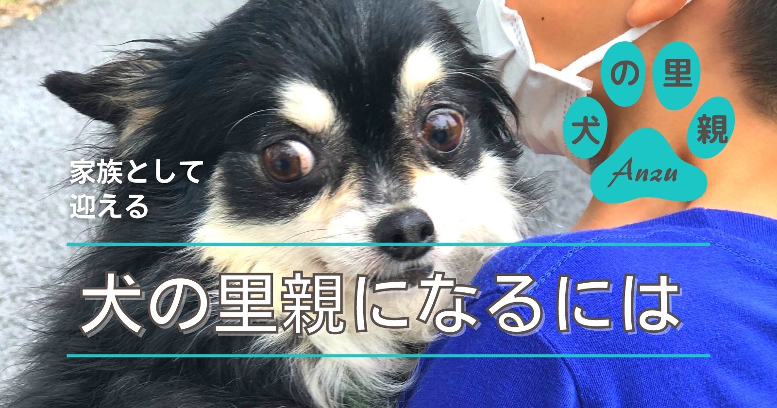 保護犬を迎え入れるときの 心構え 準備のポイント 初期費用 について ヒカリブログ 3児のワーママhikariが家族を応援