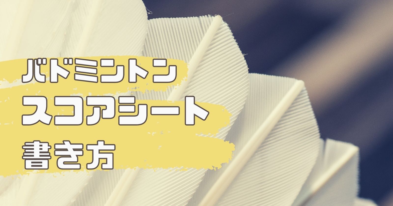 バドミントン部1年生必見 バドミントンのスコアシートの書き方 コツ ヒカリブログ 3児のワーママhikariが家族を応援